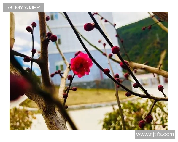 东京卓越与东京五梦的巅峰对决谁将成为未来的城市传奇 东京卓越与东京五梦的巅峰对决谁将成为未来的城市传奇